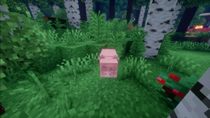 AbnormalPig.jpg