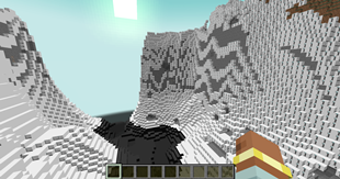 Wii Biome
