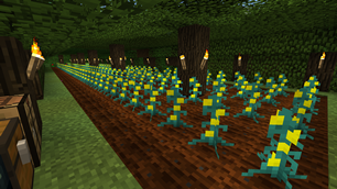 Exp fields