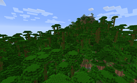 Mountainous jungle
