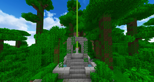 Jungle Waypoint