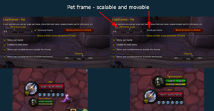 Pet frame