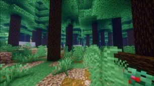 theforest.jpg