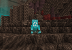 Quark's Wraith now feels more in line with Jaden's Nether Expansion.