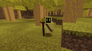 pilgrim.png