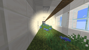 Tunnel.png