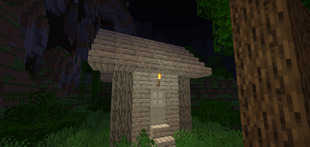 Light Oak House