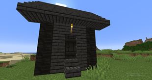 Black Wood House