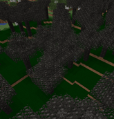 Black Wood Forest