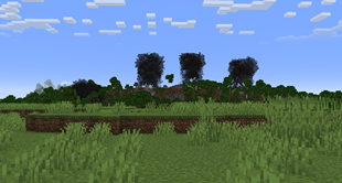 1.0 release