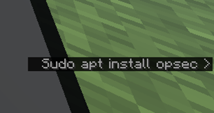 subtitle