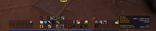 More xp bar info