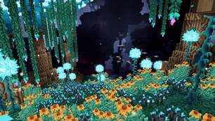 Better End Mushroom Biome