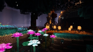 Better End Biomes
