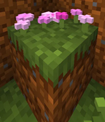 3D Image