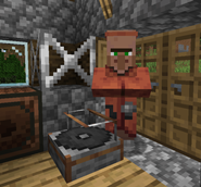 new_villager_proffesion.png