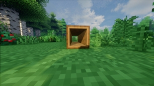 HollowLog.jpg