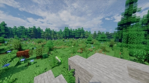Meadow.jpg