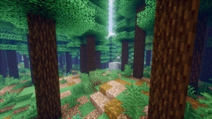 Forest.jpg