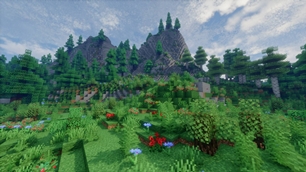 Meadow.jpg
