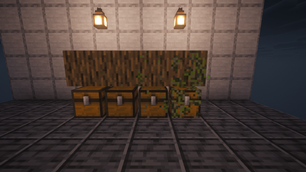 scenario_05_mold_stages_evolution.png