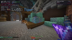 image-attachment_21c1b77b-9a47-4c3c-a0a1-9cc871f0dfb3.jpg