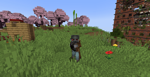 image-attachment_c0590f4e-5324-4bf7-9ba8-83c22681ff0f.png