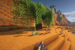 Blooming Desert
