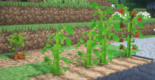 Harvest I