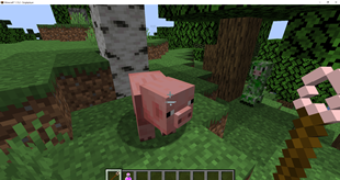 Pigup1.png