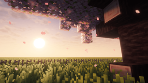 Lone Blossom