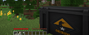 Case model
