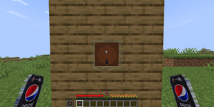 In-Game ShowCase