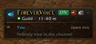 2-window-in-voice.png