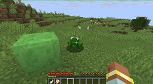 Screenshot 2026-08-21 181116.png