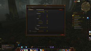 Settings (/gst)