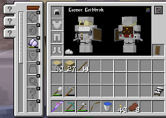 Accessories Interface