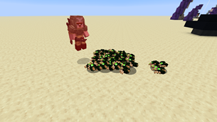 scarabs.png