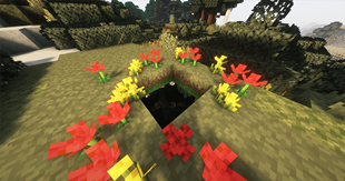 Overworld (After)