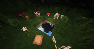 Twilight Forest (After)