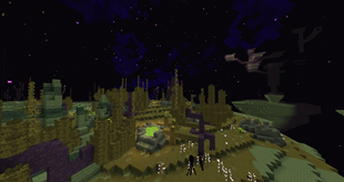 Chorus Forest 1