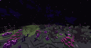 Corrupted Wilds 2