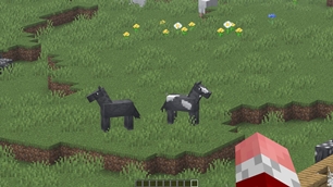 Horses-zoomed-in.jpg