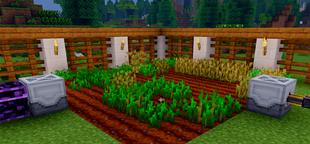 Screenshot 2026-09-20 194023.png