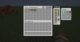 1-bag-screen-charms-and-filter.png