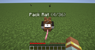 3-name-tag-shows-bag-fullness.png