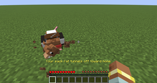 4-courier-burrowing-home.png