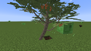 2026-09-22_02.21.24.png