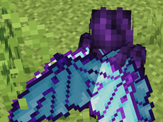 Default and Assassin Wings(Behind)