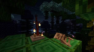 Bonfires